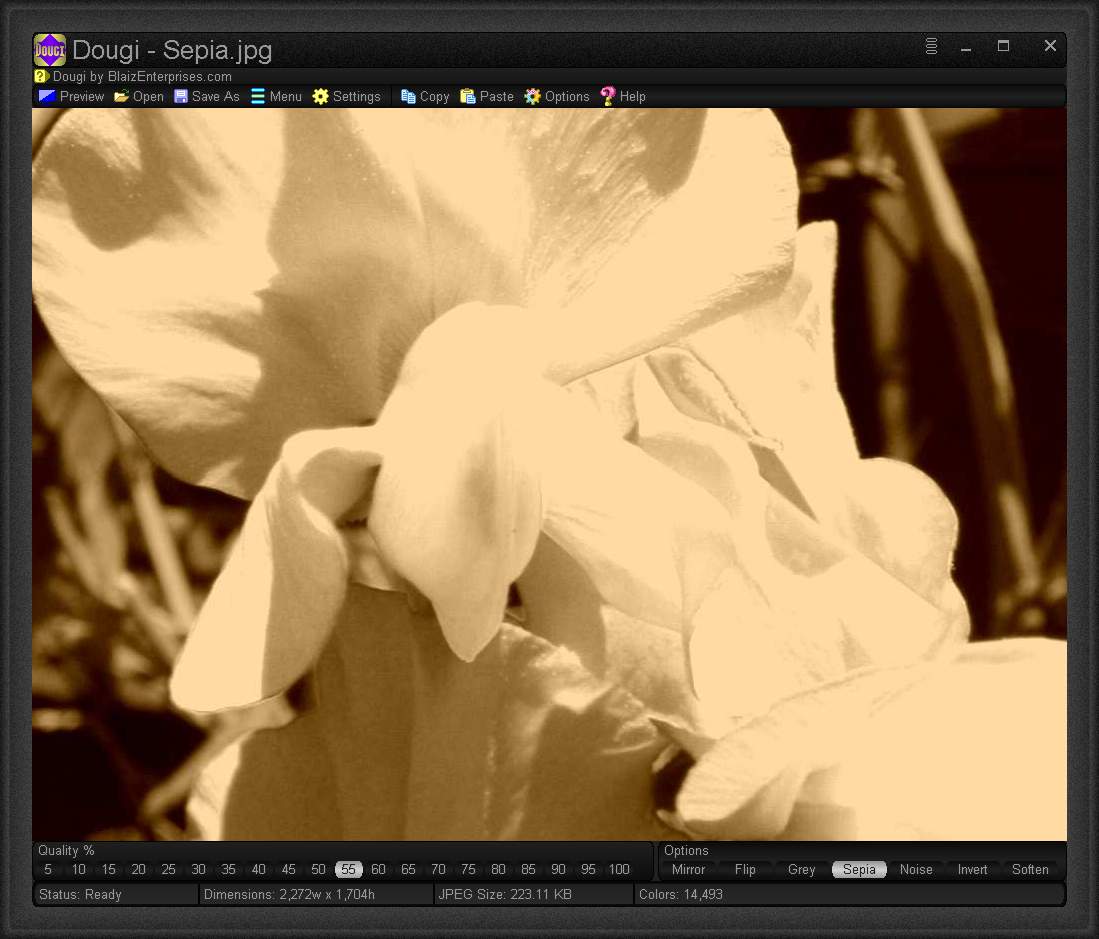 dougi-screenshot3 (JPG image)