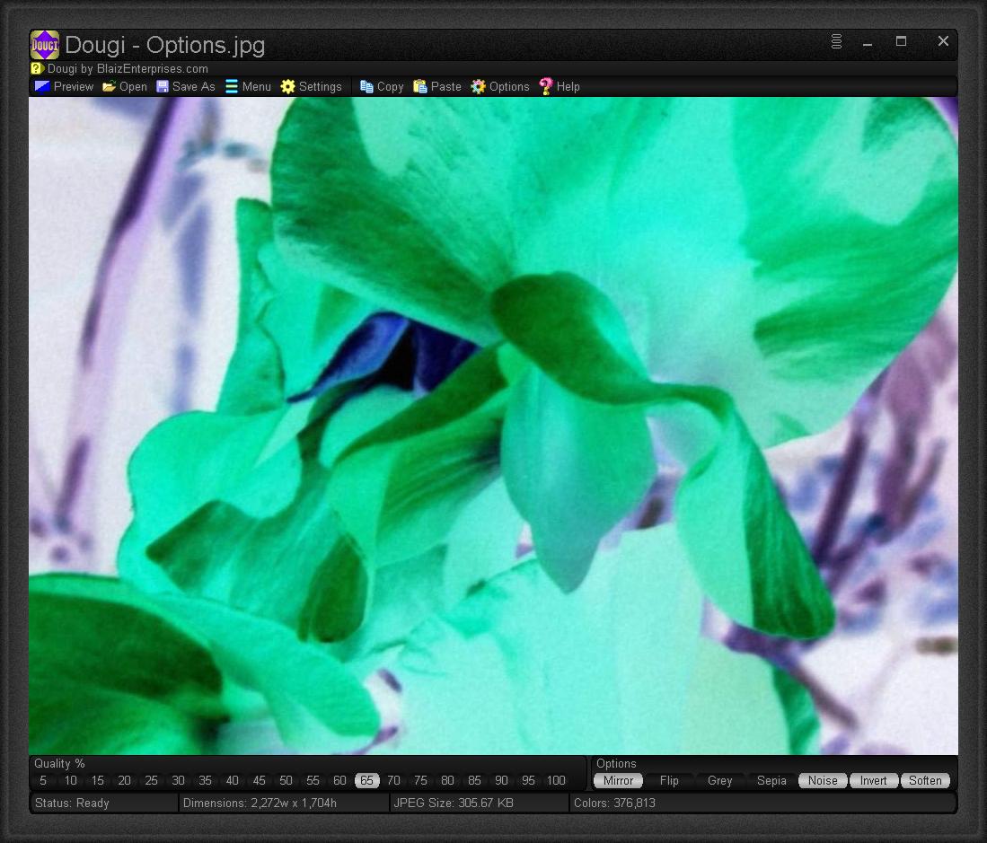 dougi-screenshot4 (JPG image)